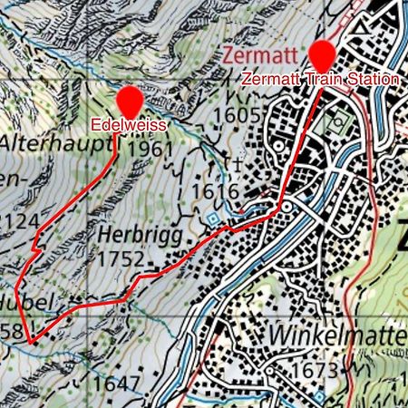 Edelweiss Mountain Guest House - 1 Hour Hike Up From Zermatt Station - On Hiking Trail - No Transport Exterior photo